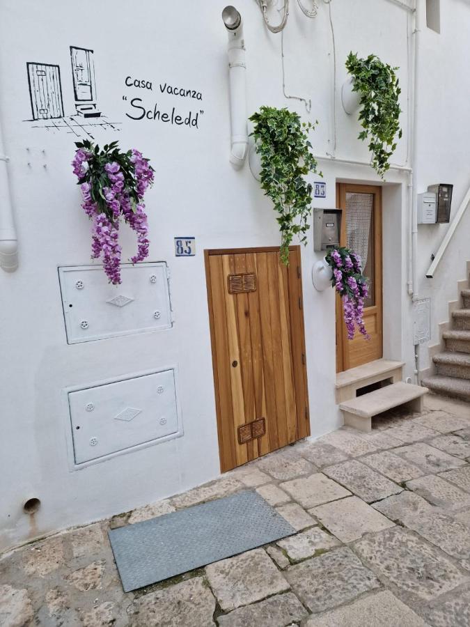 Casa Scheledd *